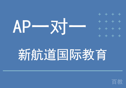 北京AP一对一辅导班
