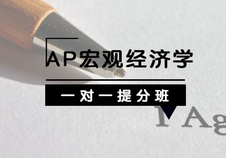 AP宏观经济学一对一提分班