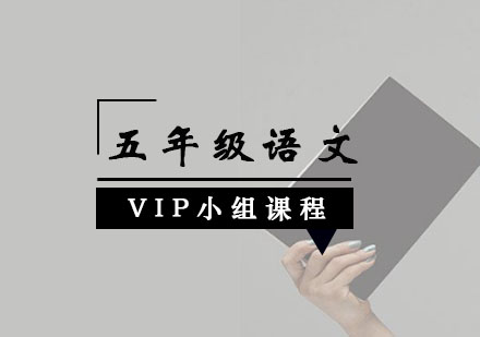 五年级语文VIP小组课