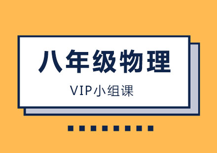 八年级物理VIP小组课