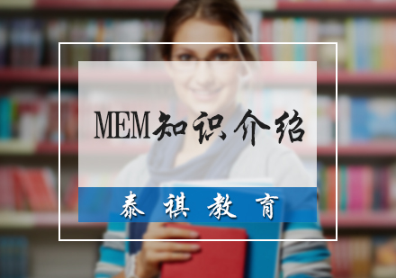 MEM知识介绍