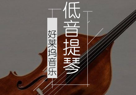 上海低音提琴培训