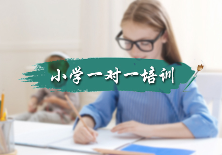 小学一对一培训