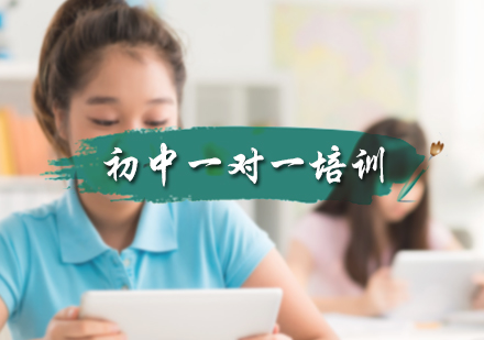 初中一对一培训