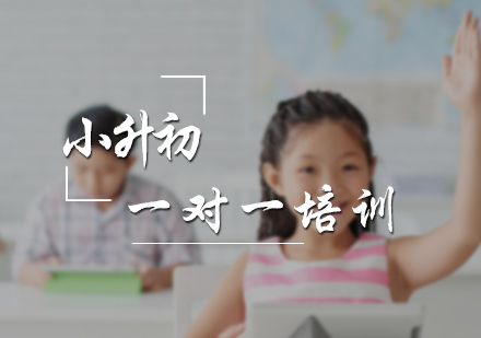 小升初一对一培训