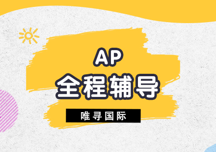 上海AP课程全程一对一定制辅导