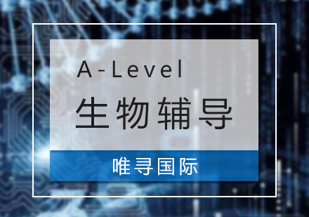 上海A-Level生物课程辅导