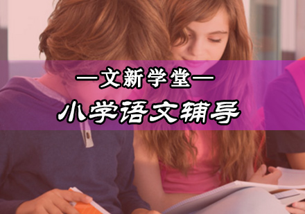 小学语文辅导班