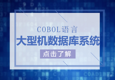 上海大型机数据库系统