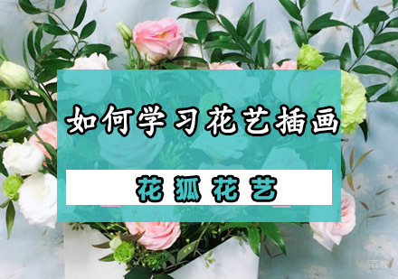 重庆花艺-如何学习插画花艺