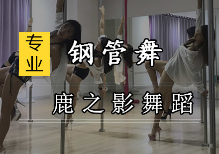 重庆鹿之影舞蹈培训学校_重庆钢管舞培训课程
