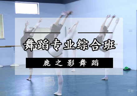 重庆鹿之影舞蹈培训学校_重庆舞蹈专业综合班