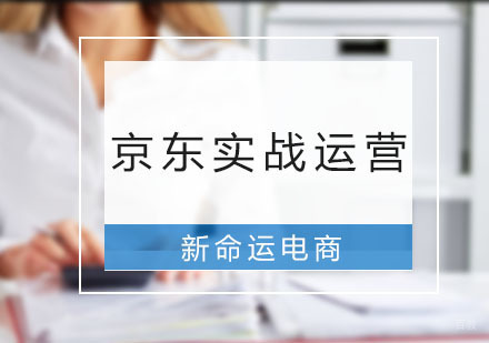广州新命运电商_广州京东实战运营班