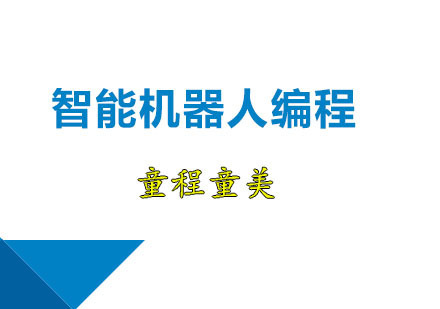 广州少儿智能机器人编程