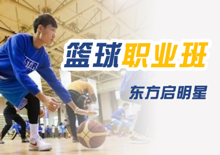 上海职业篮球特训营
