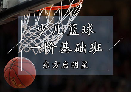 天津体育健身少儿篮球基础班