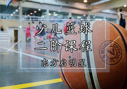 天津体育健身少儿篮球体适能课程