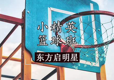 天津小精英篮球班