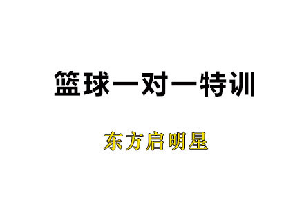 广州篮球一对一特训班