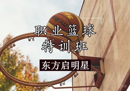 天津职业篮球特训班