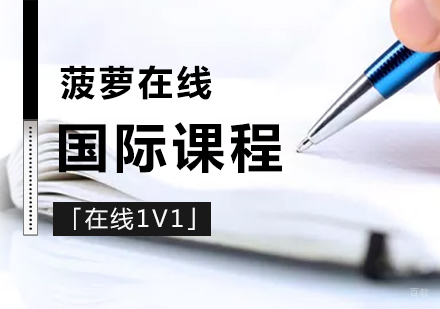上海国际课程在线一对一辅导