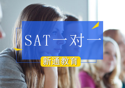 北京SAT一对一培训