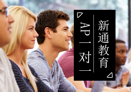 北京AP一对一培训