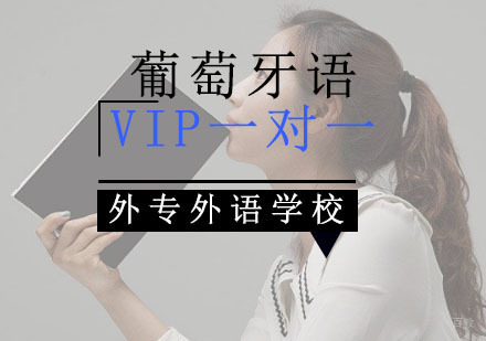 成都葡萄牙语VIP一对一培训班