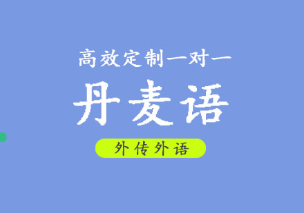 丹麦语VIP一对一培训班
