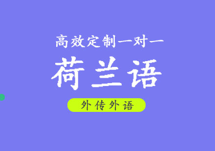 荷兰语VIP一对一培训班
