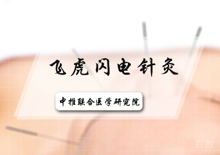 北京飞虎闪电针灸培训
