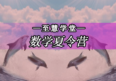 北京数学夏令营