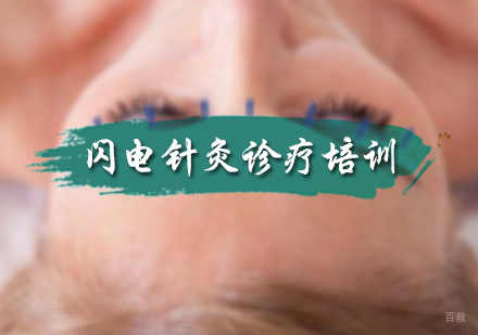 北京闪电针灸诊疗培训