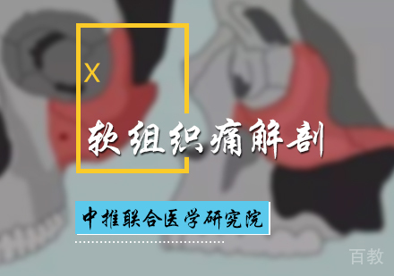 北京软组织痛解剖培训