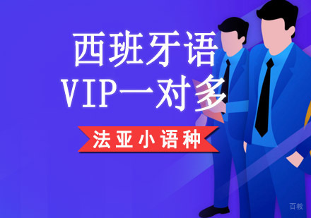 成都西班牙语VIP一对多培训