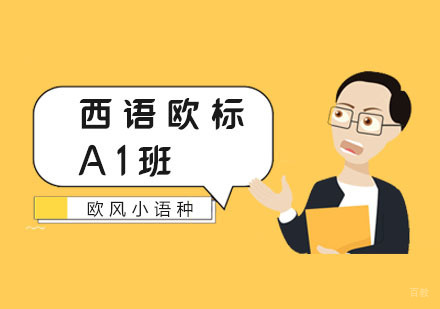 南京西语欧标A1班