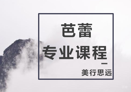 上海芭蕾专业培训