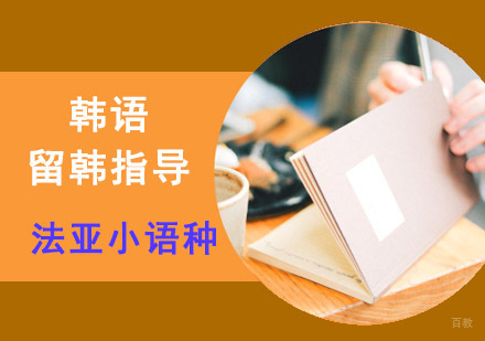 成都韩语留韩指导VIP课程