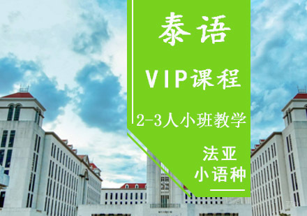 成都泰语VIP一对多培训班