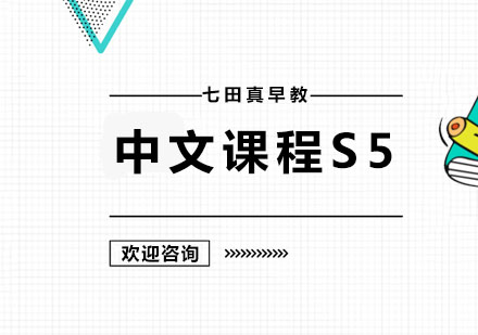 广州幼儿辅导中文课程S5