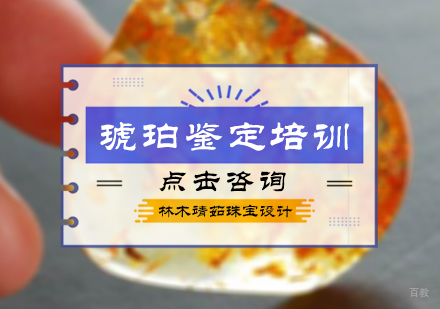 北京琥珀鉴定培训