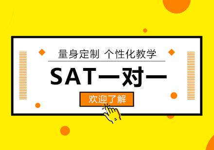 上海SATsat考试一对一培训