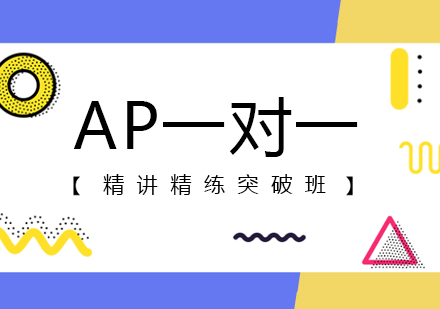 上海AP课程AP一对一培训课程