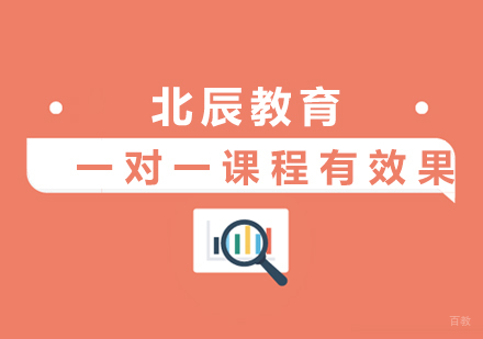 上海初中高-一对一课程有效果吗