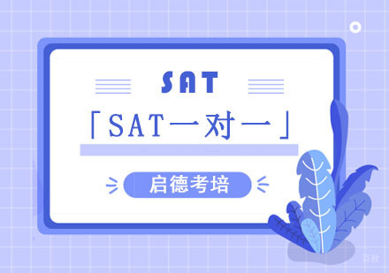 成都SAT一对一培训班