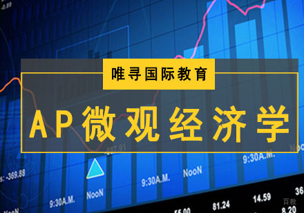 成都AP微观经济学课程