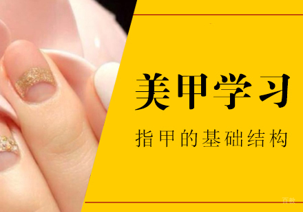 美甲学习基础知识关于指甲的几大结构