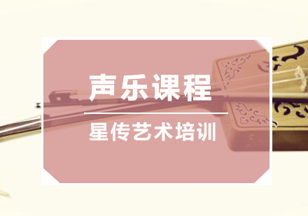南京星传艺术_南京声乐课程
