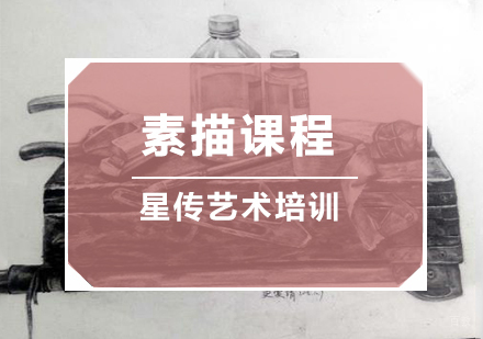 南京星传艺术_南京素描课程