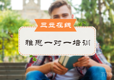 北京雅思一对一培训